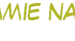 Kimmie nails logo
