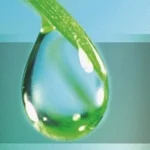 Schoonheidsinstituut Ile de Beauté logo